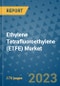 Ethylene Tetrafluoroethylene (ETFE) Market Size Outlook and Opportunities Beyond 2023 - Market Share, Growth, Trends, Insights, Companies, and Countries to 2030 - Product Image