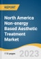 North America Non-energy Based Aesthetic Treatment Market Size, Share & Trends Analysis Report By Procedures (Injectables, Skin Rejuvenation), By End-use, By Region, And Segment Forecasts, 2023 - 2030 - Product Image