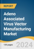 Adeno Associated Virus Vector Manufacturing Market Size, Share & Trends Analysis Report by Scale Of Operations (Clinical, Preclinical, Commercial), Method, Therapeutic Area, Application, Region, and Segment Forecasts, 2025-2030- Product Image