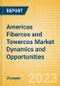 Americas Fibercos and Towercos Market Dynamics and Opportunities - Product Thumbnail Image