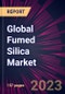 Global Fumed Silica Market 2023-2027 - Product Thumbnail Image