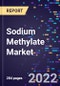 Sodium Methylate Market Size, Share, Trends, By Type, By Application, and By Region Forecast to 2030 - Product Image