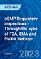 cGMP Regulatory Inspections - Through the Eyes of FDA, EMA and PMDA Webinar - Webinar (Recorded) - Product Image