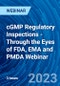 cGMP Regulatory Inspections - Through the Eyes of FDA, EMA and PMDA Webinar - Webinar (Recorded) - Product Thumbnail Image