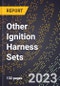 2023 Global Forecast for Other Ignition Harness Sets (Including Tractor, Stationary Engine, and Aircraft) (2024-2029 Outlook)- Manufacturing & Markets Report - Product Thumbnail Image