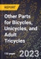 2023 Global Forecast for Other Parts for Bicycles, Unicycles, and Adult Tricycles (2024-2029 Outlook)- Manufacturing & Markets Report - Product Thumbnail Image
