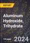 2024 Global Forecast for Aluminum Hydroxide, Trihydrate (Basis 100%, Al2O3 3H20) (2025-2030 Outlook) - Manufacturing & Markets Report - Product Image