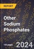 2023 Global Forecast for Other Sodium Phosphates (Including Mono- and Tribasic) (2024-2029 Outlook)- Manufacturing & Markets Report- Product Image