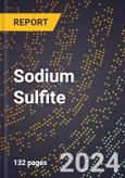 2024 Global Forecast for Sodium Sulfite (Basis - 100%, Na2So3) (2025-2030 Outlook) - Manufacturing & Markets Report- Product Image