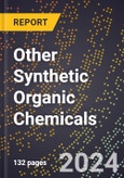 2024 Global Forecast for Other Synthetic Organic Chemicals (2025-2030 Outlook) - Manufacturing & Markets Report- Product Image