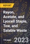 2023 Global Forecast for Rayon, Acetate, and Lyocell Staple, Tow, and Salable Waste (2024-2029 Outlook)- Manufacturing & Markets Report - Product Image