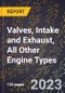 2023 Global Forecast for Valves, Intake and Exhaust, All Other Engine Types (2024-2029 Outlook)- Manufacturing & Markets Report - Product Thumbnail Image