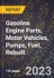2023 Global Forecast for Gasoline Engine Parts, Motor Vehicles, Pumps, Fuel, Rebuilt (2024-2029 Outlook)- Manufacturing & Markets Report - Product Thumbnail Image