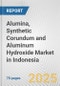 Alumina, Synthetic Corundum and Aluminum Hydroxide Market in Indonesia: Business Report 2025 - Product Thumbnail Image