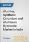 Alumina, Synthetic Corundum and Aluminum Hydroxide Market in India: Business Report 2024 - Product Thumbnail Image