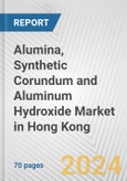 Alumina, Synthetic Corundum and Aluminum Hydroxide Market in Hong Kong: Business Report 2024- Product Image