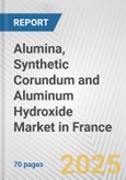 Alumina, Synthetic Corundum and Aluminum Hydroxide Market in France: Business Report 2024- Product Image