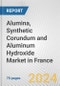 Alumina, Synthetic Corundum and Aluminum Hydroxide Market in France: Business Report 2024 - Product Thumbnail Image