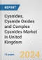 Cyanides, Cyanide Oxides and Complex Cyanides Market in United Kingdom: Business Report 2024 - Product Thumbnail Image