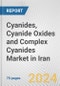Cyanides, Cyanide Oxides and Complex Cyanides Market in Iran: Business Report 2024 - Product Thumbnail Image