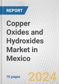 Copper Oxides and Hydroxides Market in Mexico: Business Report 2024- Product Image