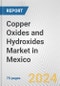 Copper Oxides and Hydroxides Market in Mexico: Business Report 2024 - Product Image