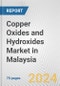 Copper Oxides and Hydroxides Market in Malaysia: Business Report 2024 - Product Thumbnail Image