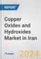 Copper Oxides and Hydroxides Market in Iran: Business Report 2024 - Product Thumbnail Image
