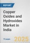 Copper Oxides and Hydroxides Market in India: Business Report 2024 - Product Thumbnail Image