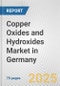 Copper Oxides and Hydroxides Market in Germany: Business Report 2024 - Product Thumbnail Image