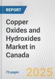 Copper Oxides and Hydroxides Market in Canada: Business Report 2025- Product Image