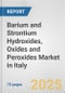 Barium and Strontium Hydroxides, Oxides and Peroxides Market in Italy: Business Report 2025 - Product Thumbnail Image