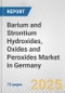 Barium and Strontium Hydroxides, Oxides and Peroxides Market in Germany: Business Report 2024 - Product Thumbnail Image