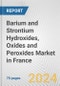 Barium and Strontium Hydroxides, Oxides and Peroxides Market in France: Business Report 2024 - Product Thumbnail Image