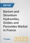 Barium and Strontium Hydroxides, Oxides and Peroxides Market in France: Business Report 2025 - Product Thumbnail Image