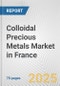 Colloidal Precious Metals Market in France: Business Report 2024 - Product Image