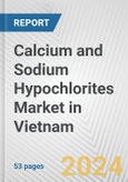 Calcium and Sodium Hypochlorites Market in Vietnam: Business Report 2024- Product Image