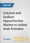 Calcium and Sodium Hypochlorites Market in United Arab Emirates: Business Report 2024 - Product Image