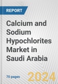 Calcium and Sodium Hypochlorites Market in Saudi Arabia: Business Report 2024- Product Image
