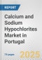 Calcium and Sodium Hypochlorites Market in Portugal: Business Report 2025 - Product Thumbnail Image