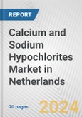 Calcium and Sodium Hypochlorites Market in Netherlands: Business Report 2024- Product Image