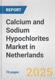 Calcium and Sodium Hypochlorites Market in Netherlands: Business Report 2024- Product Image