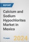 Calcium and Sodium Hypochlorites Market in Mexico: Business Report 2024 - Product Thumbnail Image