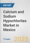 Calcium and Sodium Hypochlorites Market in Mexico: Business Report 2024 - Product Thumbnail Image