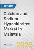 Calcium and Sodium Hypochlorites Market in Malaysia: Business Report 2024- Product Image