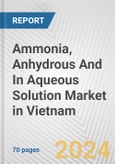 Ammonia, Anhydrous And In Aqueous Solution Market in Vietnam: Business Report 2024- Product Image