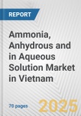 Ammonia, Anhydrous And In Aqueous Solution Market in Vietnam: Business Report 2024- Product Image