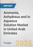 Ammonia, Anhydrous And In Aqueous Solution Market in United Arab Emirates: Business Report 2024- Product Image