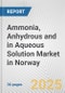 Ammonia, Anhydrous And In Aqueous Solution Market in Norway: Business Report 2024 - Product Image