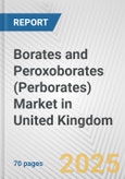 Borates and Peroxoborates (Perborates) Market in United Kingdom: Business Report 2024- Product Image